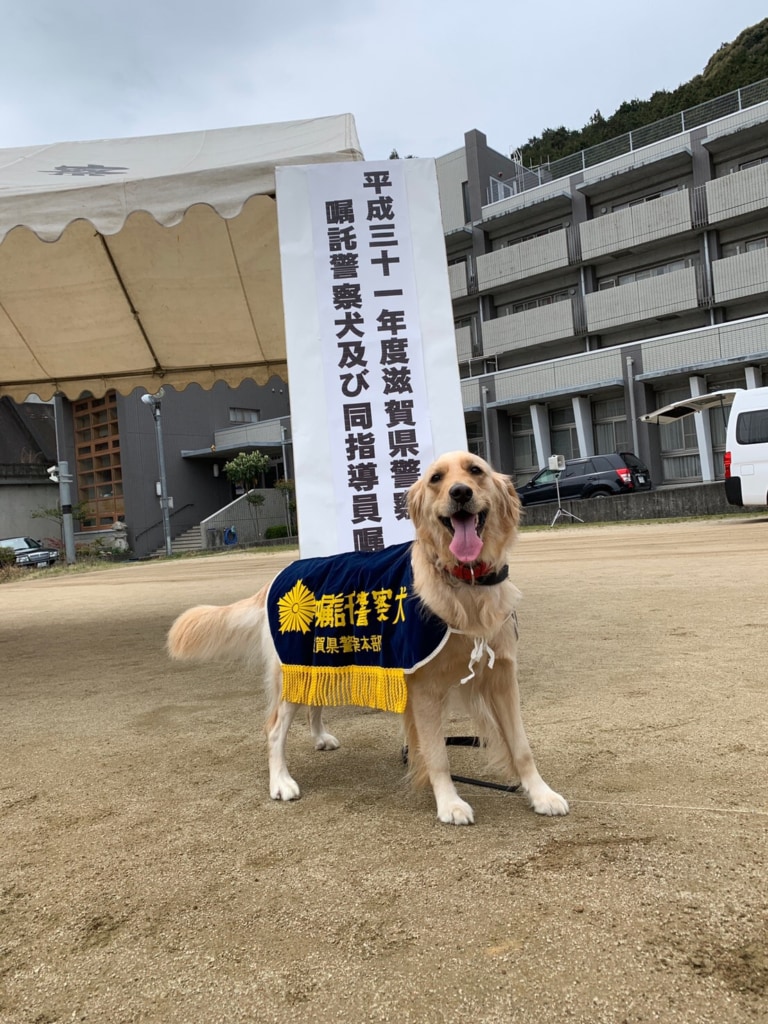 滋賀県警察犬 嘱託式