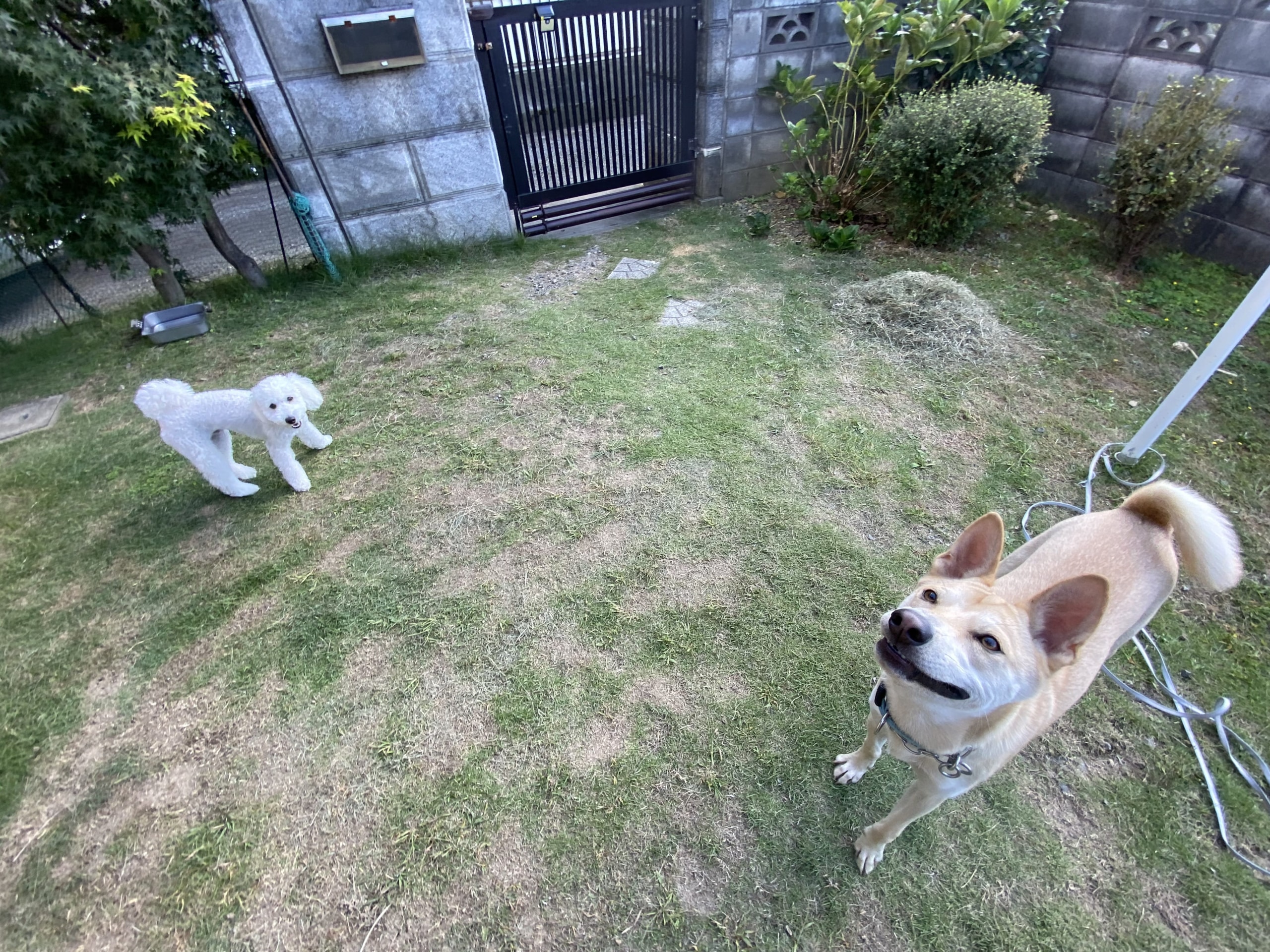 10.14水曜日