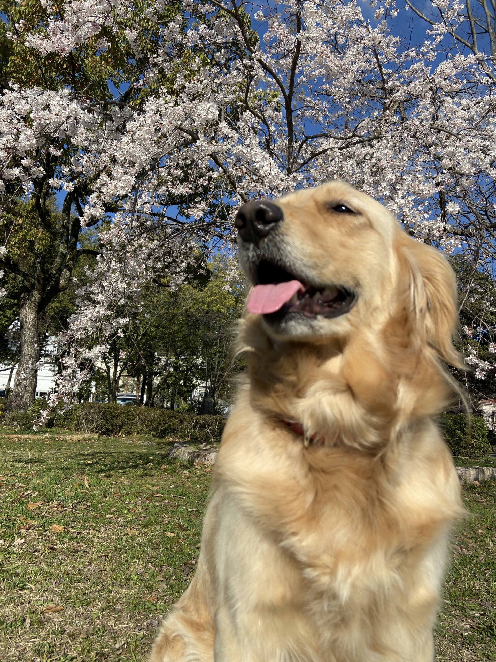 03.25水曜日