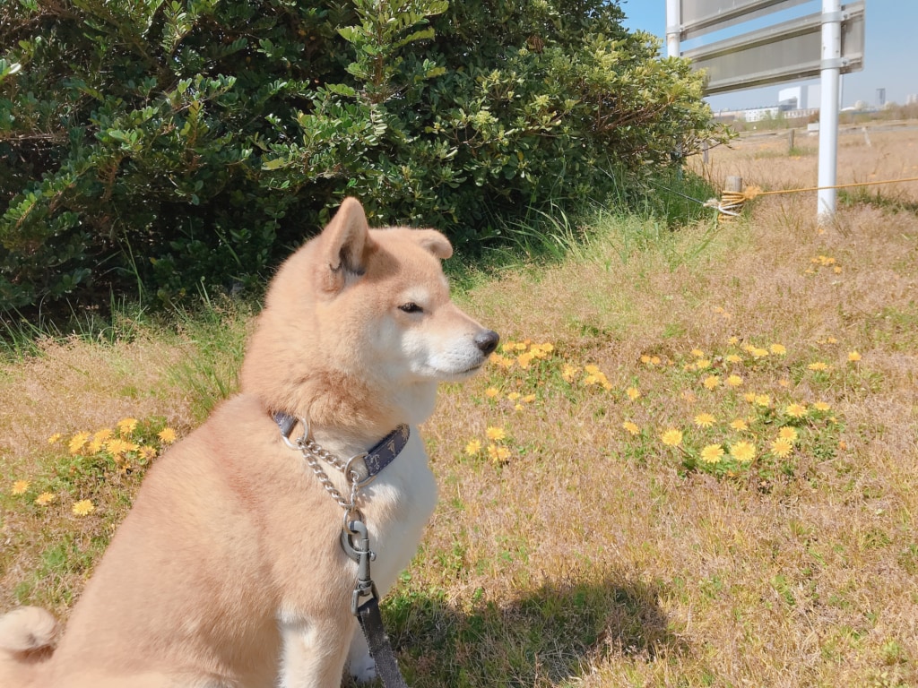 今日の一枚