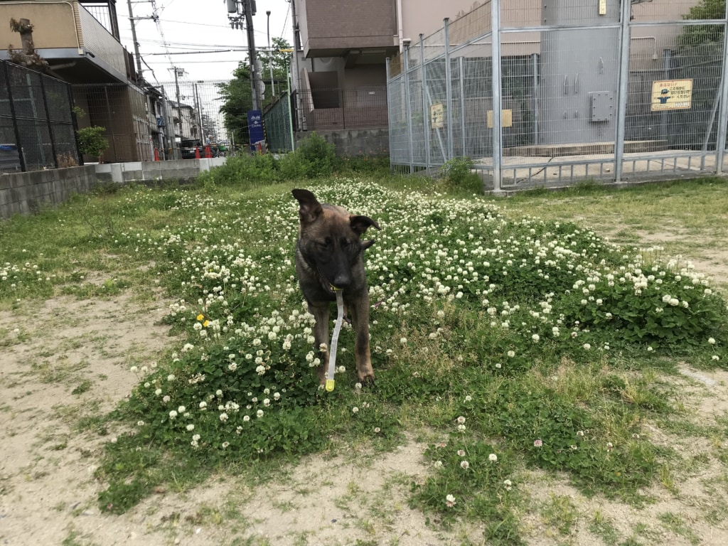 今日の一枚