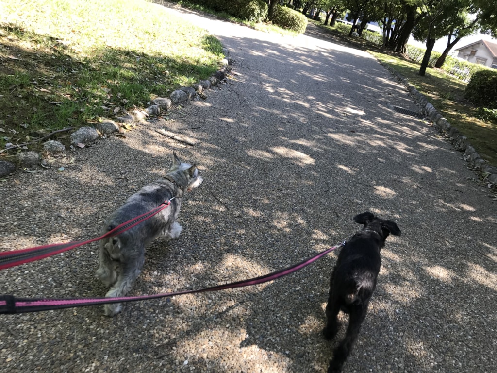 台風が過ぎ猛暑