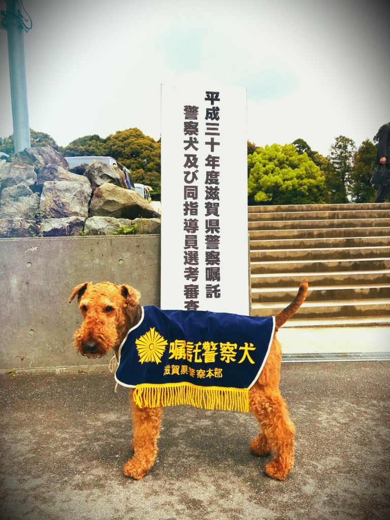 警察犬