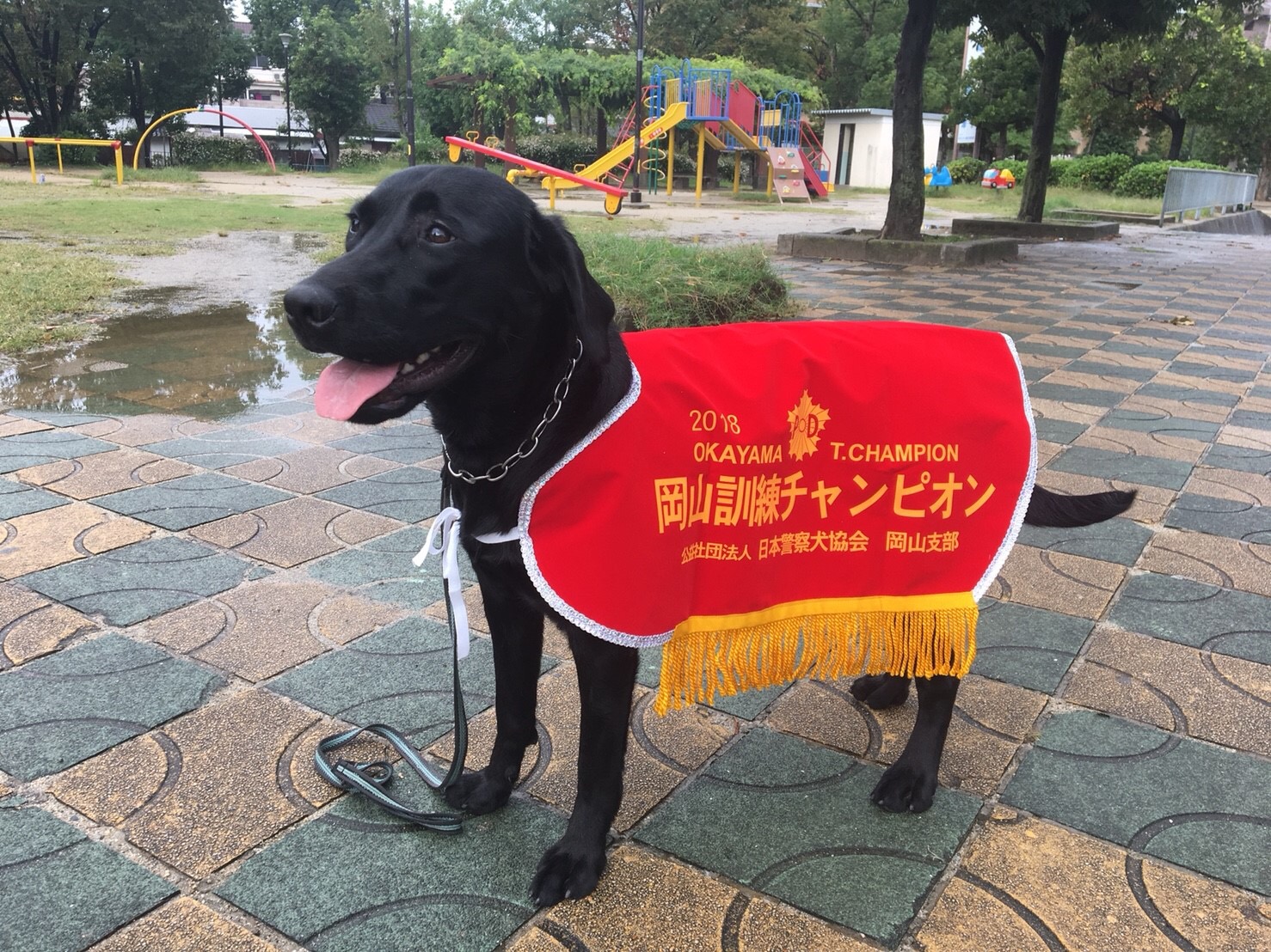 岡山訓練チャンピオン競技会