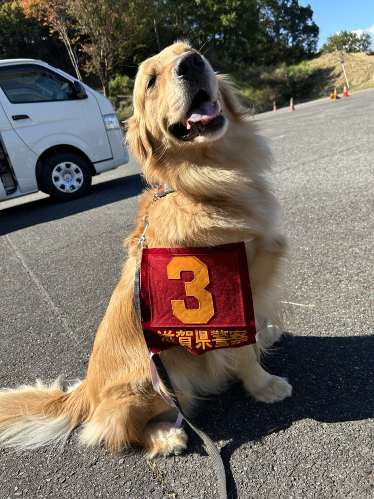 滋賀県警察犬試験