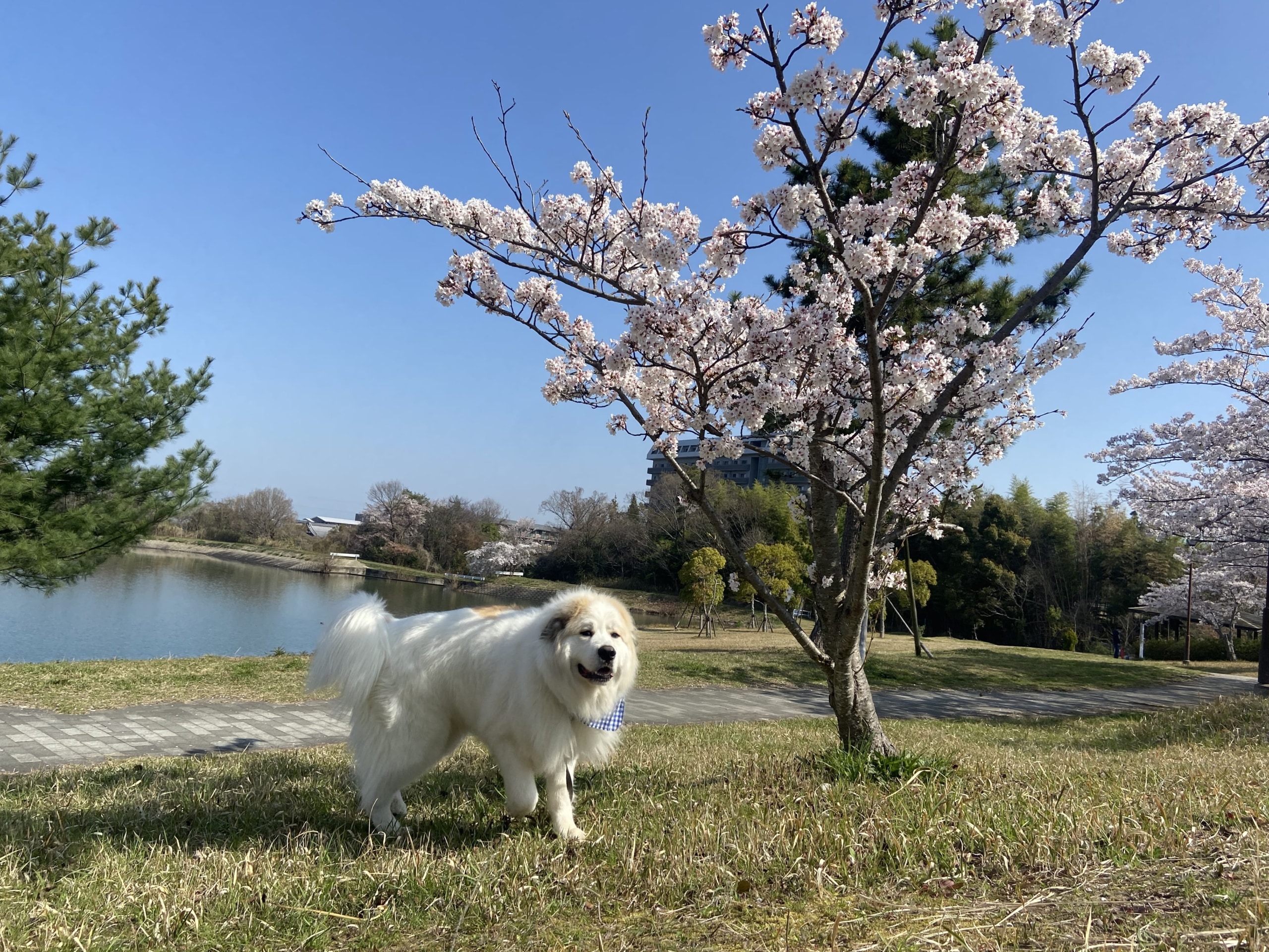 引き続き。。04/01/sat